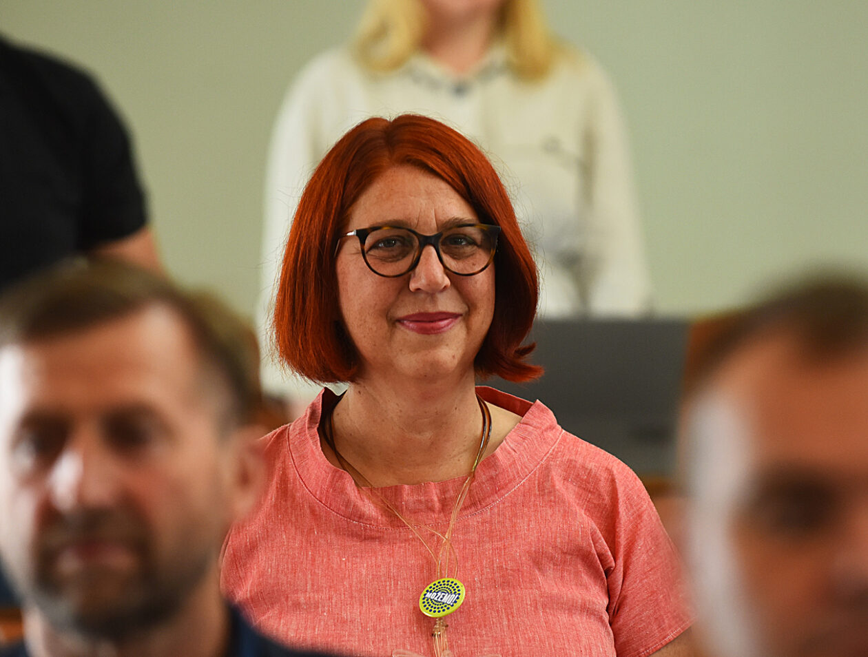 zupanijska skupstina (24)
