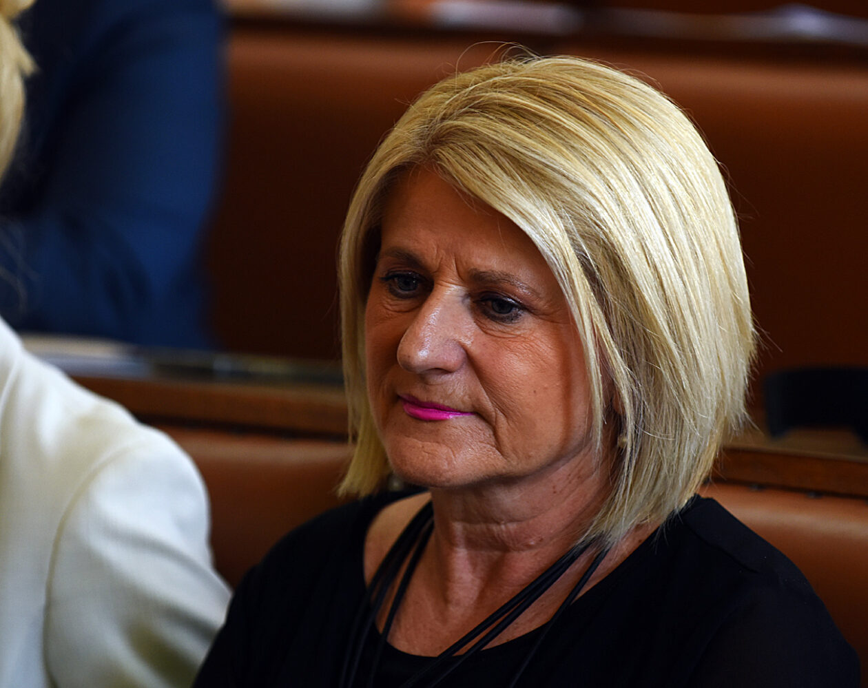 zupanijska skupstina (48)