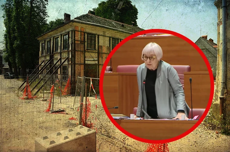 zvijezda drazenka polovic