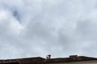 zvijezda penjanje (2)