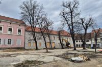 zvijezda trg gradiliste (8)